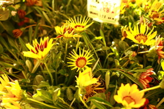 日曜＠2019‐10‐13