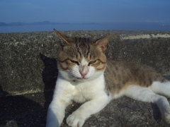 朝＠2020‐07‐18