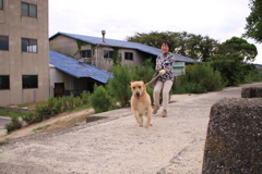 ラブちゃんが猛烈にアタックしてくるから、