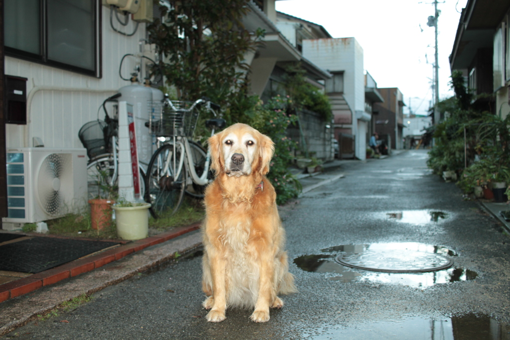 雨＠2017-10-06