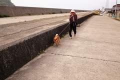 おこりんぼうのウルちゃん