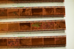 フィルムスキャンするかいね