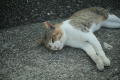 ＠2021‐08‐03
