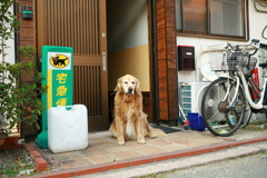 お宿番してるみゅうちゃん