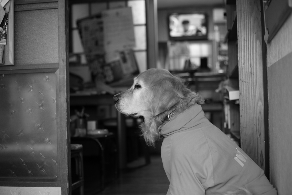 ＠2018-11-03モノクロ