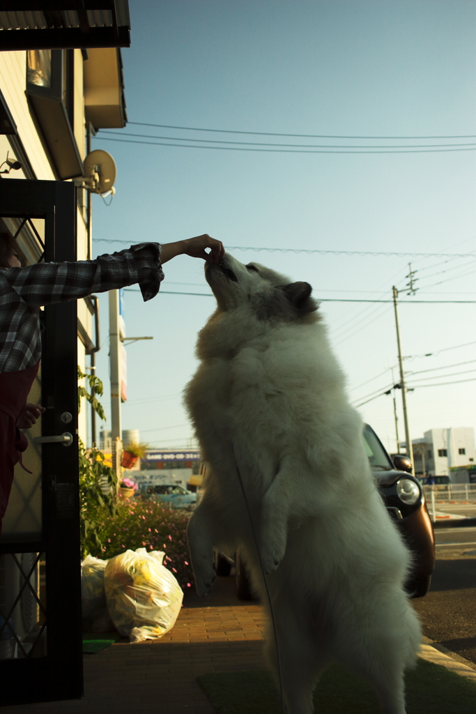 rawで写してるからカラーにもできる