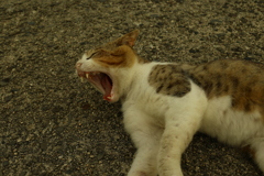 ＠2021‐06‐28