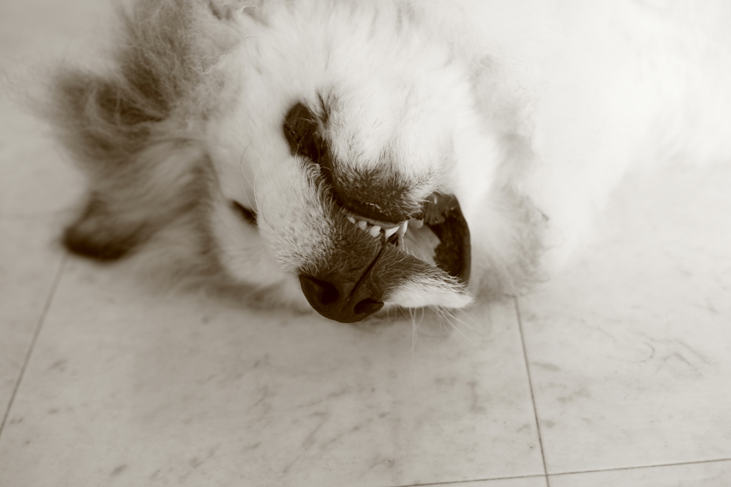 今日も暇だ～～