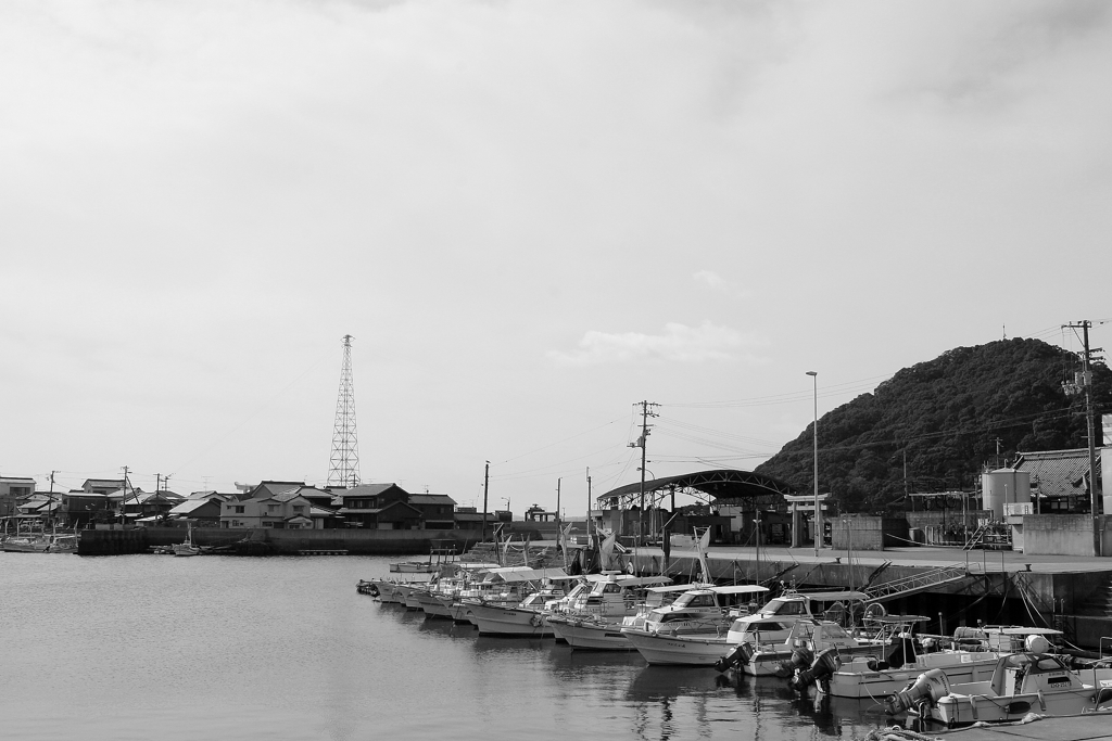 Eos20Dはモノクロにすると絶妙　９