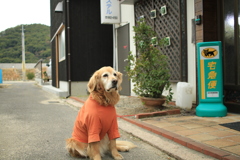 お宿番してるみゅうちゃん