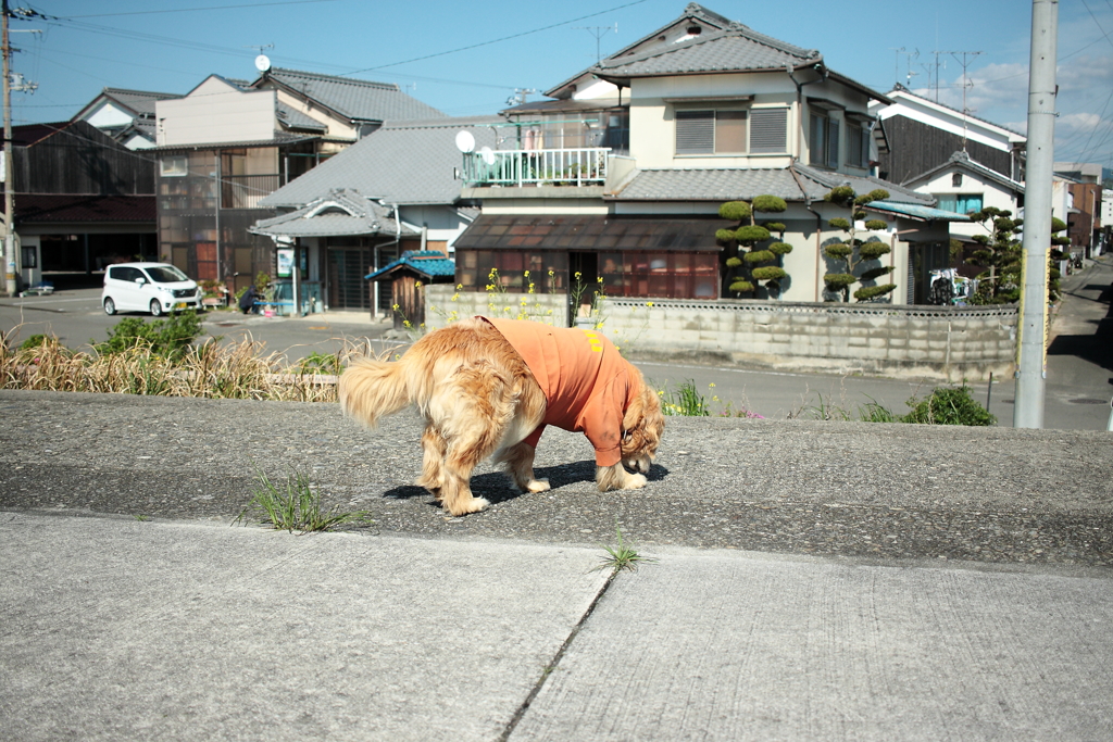 みゅうちゃん