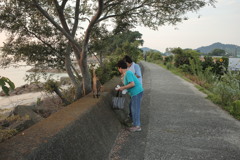 オバチャンズと猫