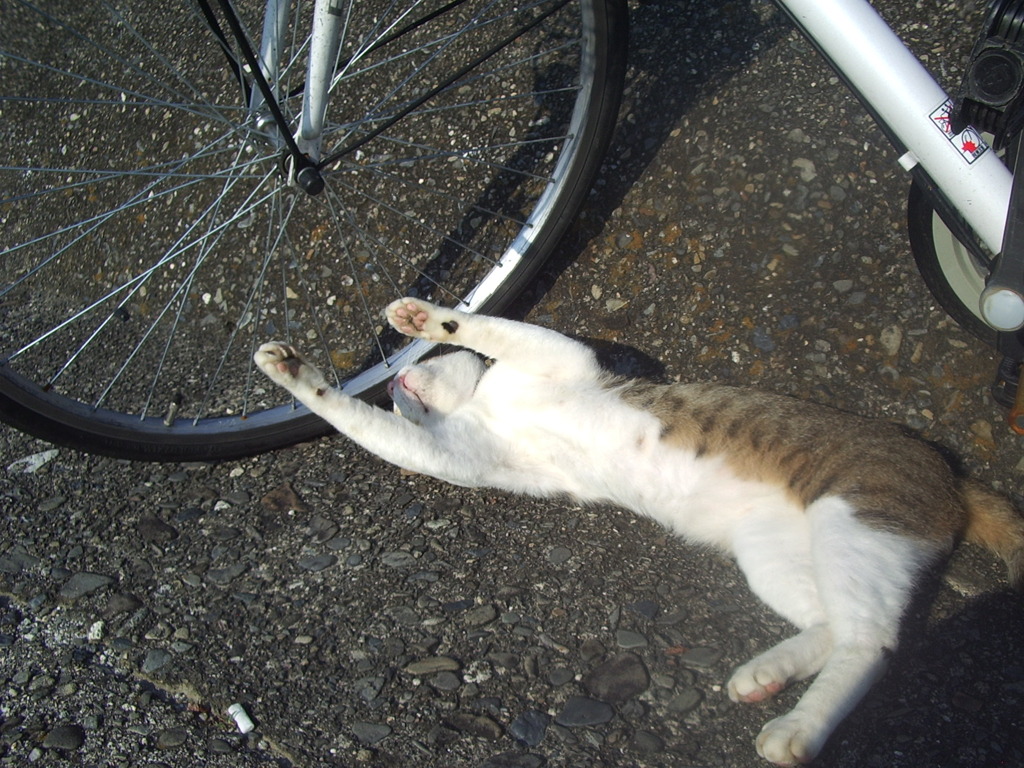 朝＠2020‐07‐18