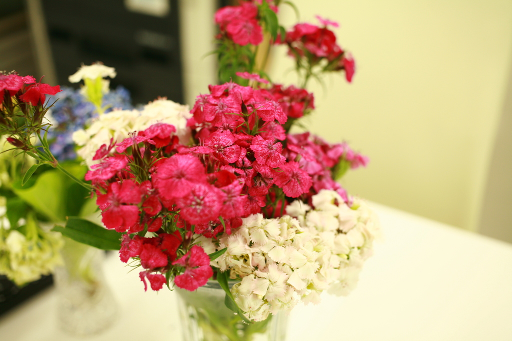 ココさんの所の花