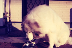 フイルム風＠2019-02-10