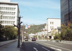 書道用の筆でスキャン前に埃払ったらきれいに取り込める