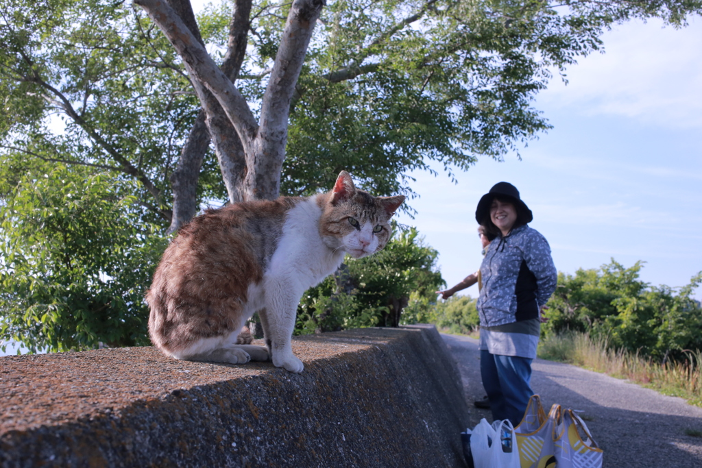 だいぶやつれてきたトム君