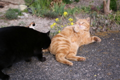 ええのんか～？