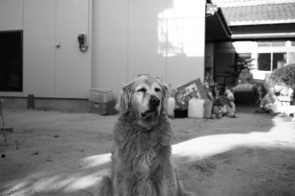 お留守番してるみゅうちゃん