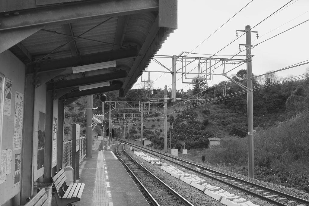 浅海（あさなみ）に行く　IMG_6123 s m z