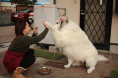 イェイが決まってるココちゃん