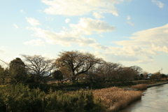 何でもないようなことが幸せなんだと思う