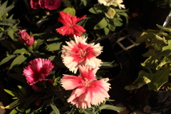 @2018-04-22 @2018-04-22