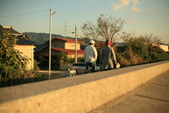 アビィちゃんが散歩中