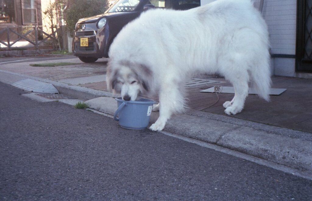 NewCanonet28,真の実力を発揮!(^^)!