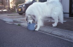 NewCanonet28,真の実力を発揮!(^^)!