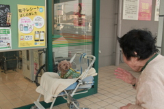 ゲンちゃんとおばあちゃん