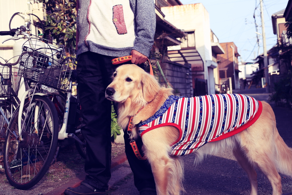 茶々丸　フイルム風