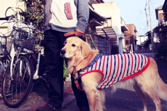 茶々丸　フイルム風