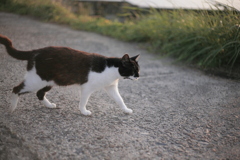 ＠2020‐07‐01朝