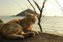 ＠2021‐03‐08