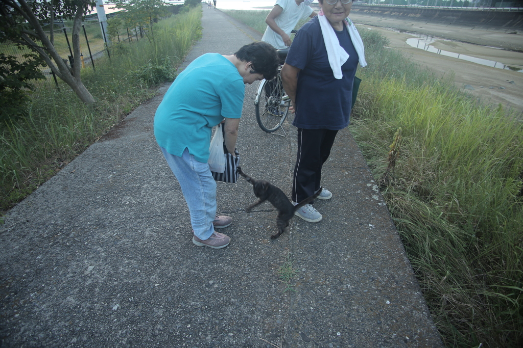 おねだりマスカッツ