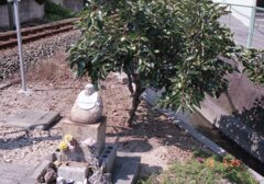 film Superia X-traにて