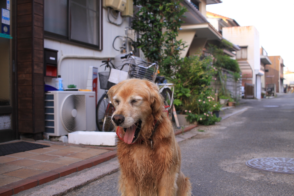 久しぶりにお休みの営業本部長みゅうちゃん