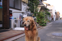 久しぶりにお休みの営業本部長みゅうちゃん