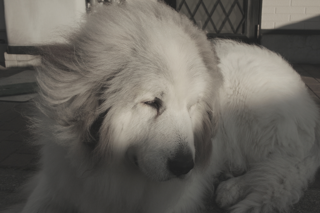 今日は本気で寒い　２