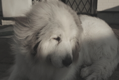 今日は本気で寒い　２