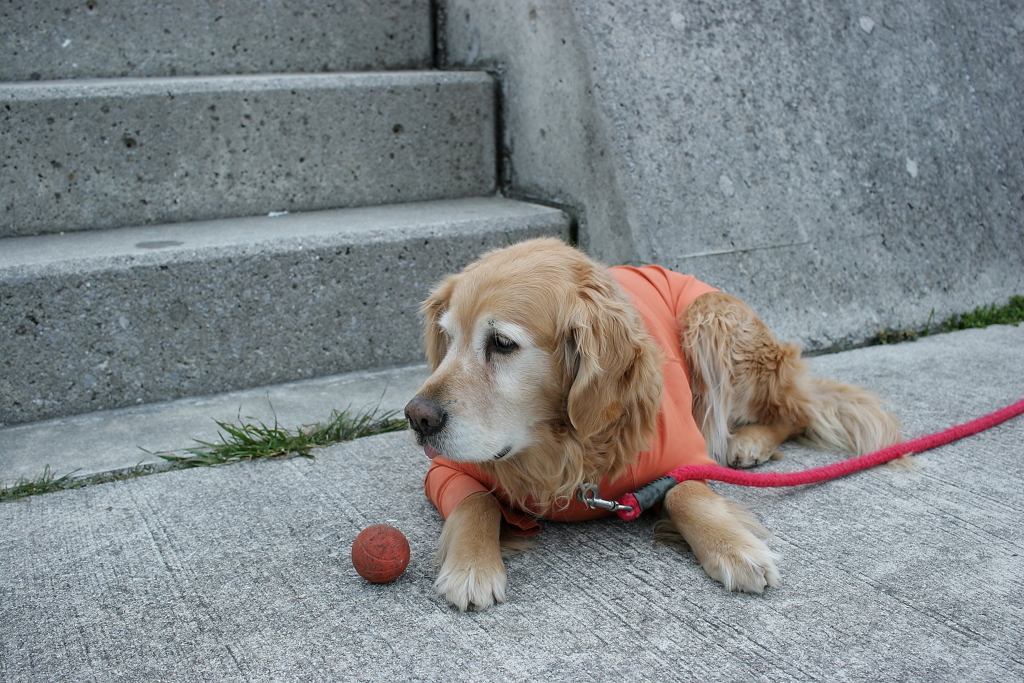 みゅうちゃん＠北条水軍ユースホステル