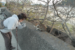 横山さんとトム君