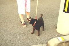 メロンちゃん！こっち向いて！