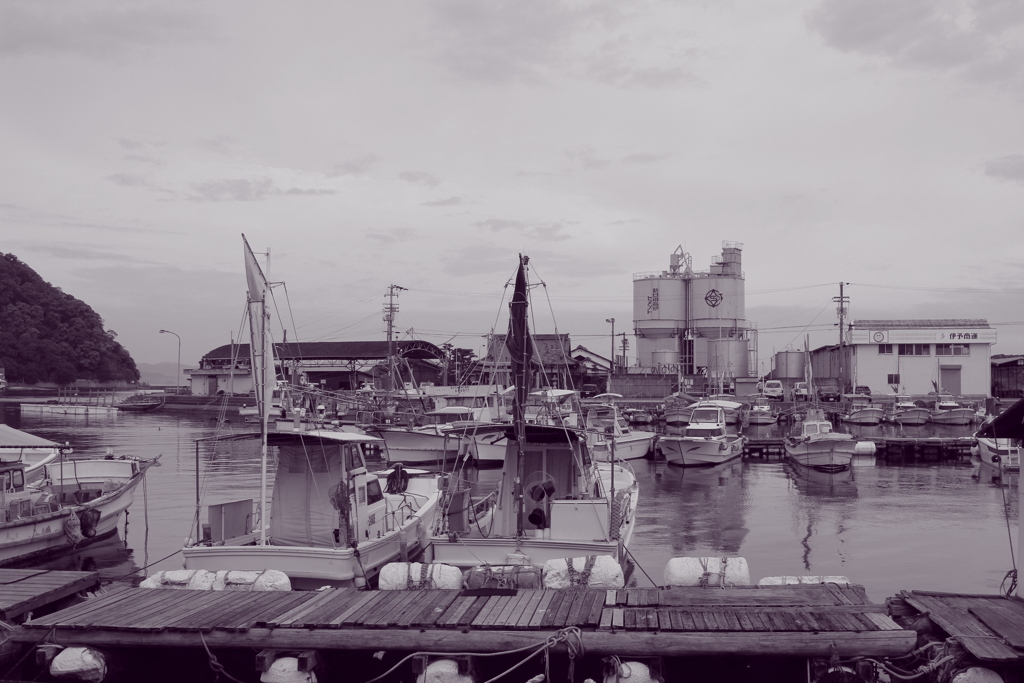 道端に小さな花が咲いている　それを幸せと感じたい