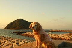 ＠2020‐01‐02