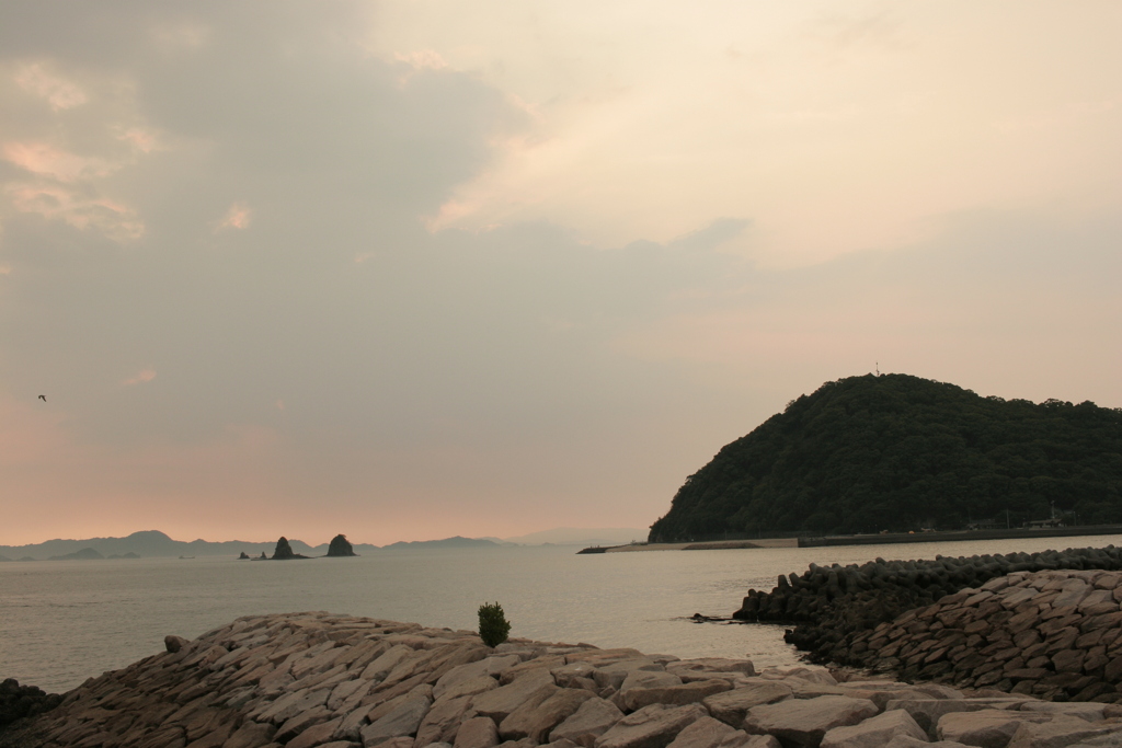 今日も平凡な一日だった