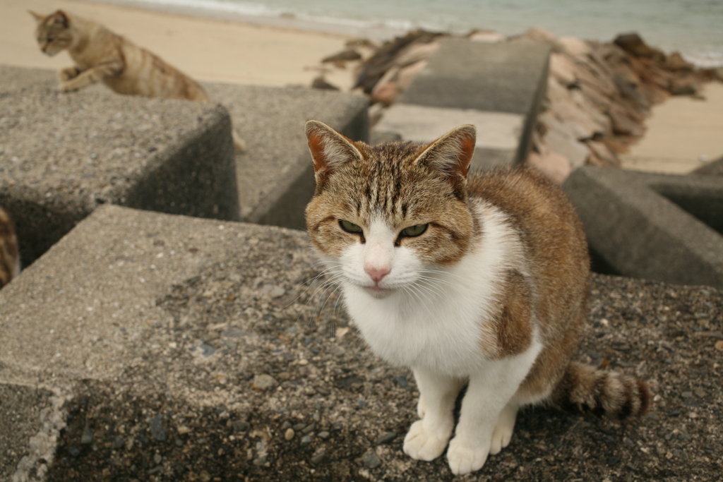 令和初日も平和な一日＠2019-05-01