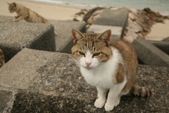 令和初日も平和な一日＠2019-05-01