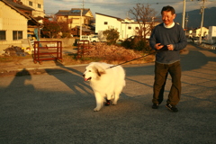 お父さんと散歩してるココさん